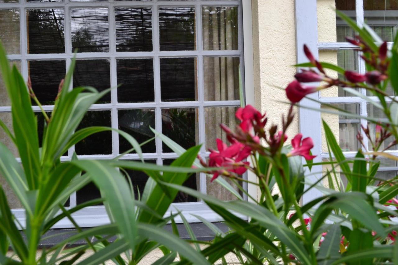 Bed and Breakfast Maison D'Hotes La Chouanniere Les Bois-d'Anjou Zewnętrze zdjęcie