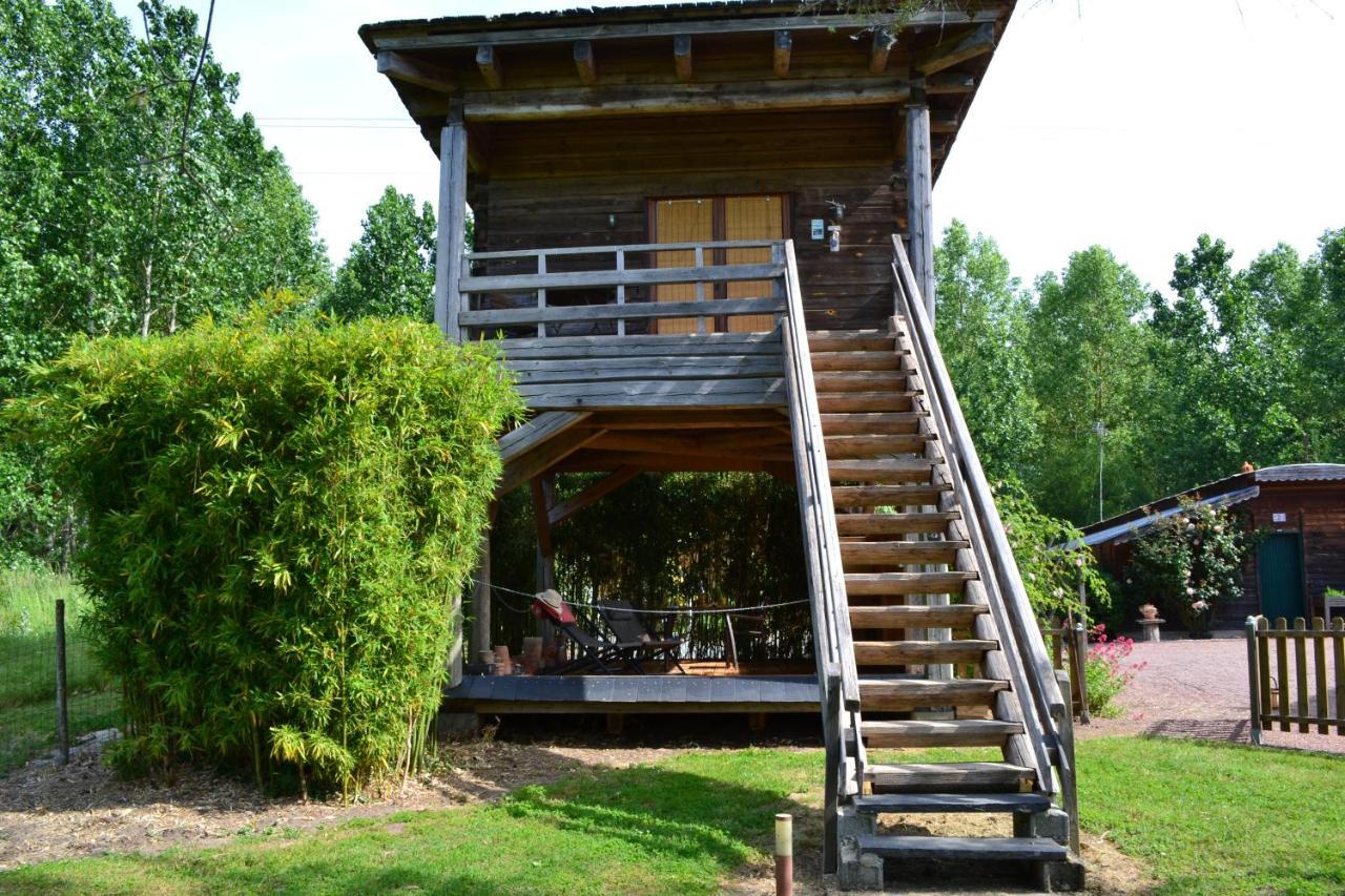 Bed and Breakfast Maison D'Hotes La Chouanniere Les Bois-d'Anjou Zewnętrze zdjęcie