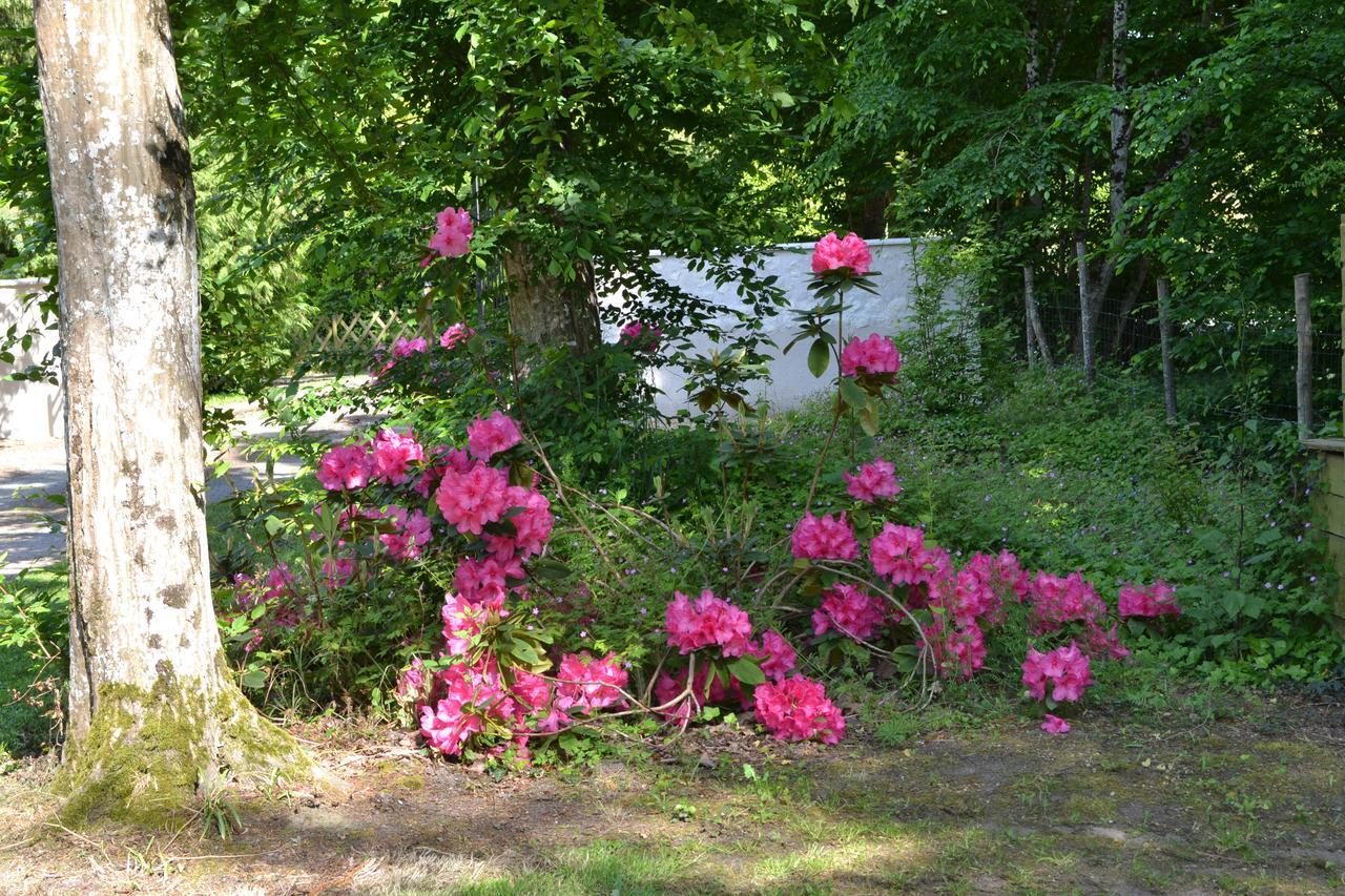 Bed and Breakfast Maison D'Hotes La Chouanniere Les Bois-d'Anjou Zewnętrze zdjęcie